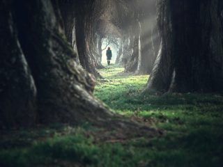 【未解決】大破した自動車と謎の男… スピ系女子が突然消えた「リア・ロバーツ失踪事件」の恐怖！