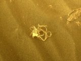 火星で謎の「繊維状の物質」を発見! 生命の証拠か、NASAの写真に衝撃広がる