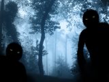 ベトナム帰還兵、ジャングルで未知の獣人集団に遭遇したと告白! UMA「グォイ・ズン」の可能性も