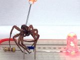 死んだクモをロボット化して蘇らせる戦慄の新技術「ネクロボット」爆誕!(最新研究)