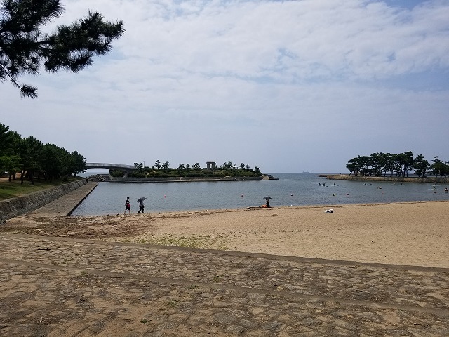 兵庫県加古川のUMA「ムッシー」の正体、ついに特定か! 現地取材でわかった衝撃の真実の画像2