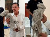 「エイリアンのミイラ」メキシコの古代遺跡で出土! 人間離れした特徴の数々、考古学者が緊急会見!