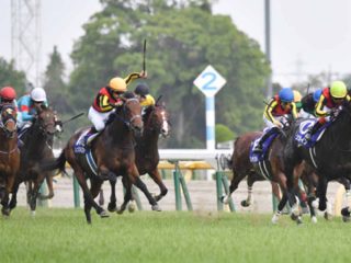 【JRAスプリンターズS】メイケイエールを脅かす“人気激薄穴馬”がコレだ！　一攫千金を掴み取れ