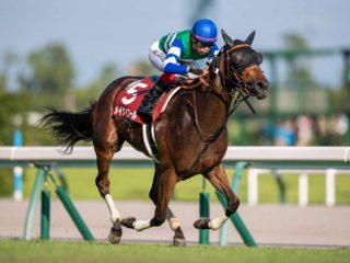JRAスプリンターズS 「秘蔵の激アツ騎手情報」で馬連3点大勝負！ 246万円に続く“分厚い札束”が!?