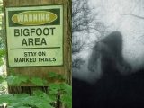 「ビッグフットに注意」米自然保護局が警告? 当局は完全否定