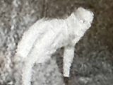 チュパカブラ(窃盗犯)の発見に懸賞金! 異様な姿に恐怖広がる