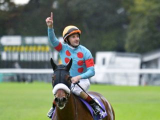 JRA天皇賞・秋「人気馬切り捨て、究極の万馬券狙い」 これを買わずして何を買う、一攫千金は目の前だ！