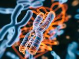 5つのがんを含む12の腫瘍に侵された女性が「強化人間」に? 未知の遺伝子変異と特殊免疫を発見=最新研究