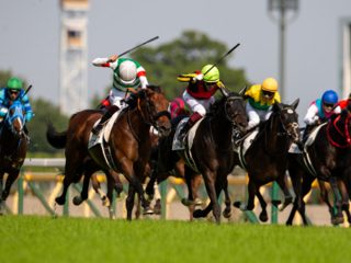 JRAジャパンカップに異変あり！ 優勝賞金4億円の行方は…実力馬不在の大混戦を見抜く有力情報公開！