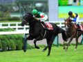 JRAジャパンカップは数年に1度のビッグチャンス！ 元調教師が選ぶ下剋上穴馬で勝負