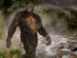 ビッグフットは共食いしているから死体が発見されない? 衝撃の説にネット騒然