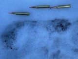 ビッグフットが私有地に侵入か? 大きな足跡と毛むくじゃらの生物が映像に収められる