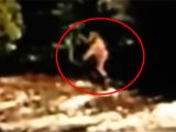 カナダで撮影された鮮明な「ビッグフット映像」! 本物かフェイクか?