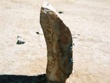 古代の巨石に刻まれた「空飛ぶトナカイ」の謎! 先史時代のモンゴルに何故?