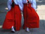 神憑りで能力開花、占いが抜群に当たる駆け出し霊能力の不思議体験! 縁切り神社でケモミミ巫女に呪われた!?