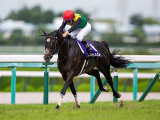 JRA有馬記念「夢の一攫千金はここにある」 武豊以上の実力派!? ダービージョッキーが教える厳選馬3頭とは？