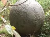 ロシアの森で発見された巨大球体の謎! 政府が真相不明のまま破壊、専門家はUFO説を提唱