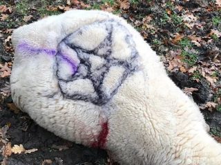 ロウソクに囲まれた動物の心臓… 英で悪魔崇拝者が儀式、不吉な出来事が連発