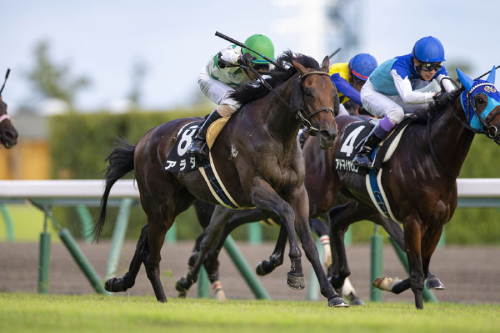 1月5日のJRA東西金杯は万馬券ハンターのお年玉情報で勝負！ 100万円獲得なるか!?の画像1