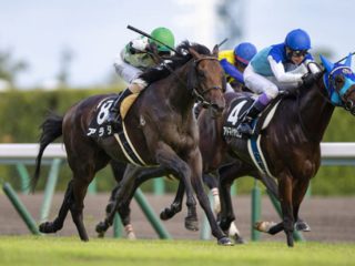 1月5日のJRA東西金杯は“万馬券ハンターのお年玉情報”で勝負！ 100万円獲得なるか!?