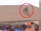 馬の頭をした半人半獣の生物が撮影される? 顔が変形、伝説の生物との声も