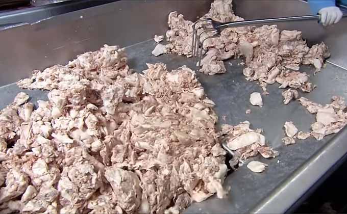 ホットドッグ工場の衝撃的内部映像! 嫌悪感よりも食欲が勝る人が続出、称賛の声も「肉を無駄にしない天才的発想」の画像1