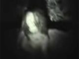 フィリピンのテケテケ「マナナンガル」が目撃される! 住民が本気でパニック、警察が出動する事態に