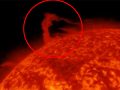 太陽の一部が欠けた？ 大規模な極渦が発生、原因不明の現象に科学者も困惑