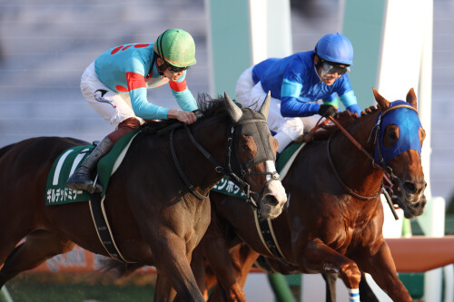 今年最初の大一番「JRAフェブラリーステークス」 大荒れ模様を制するのはこの馬！ Dr.コパの奇跡、最低人気を覆したコパノリッキーの激走再びの画像1