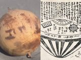 浜松市の海岸に江戸時代のUFO「虚舟」が再来? 謎の球体に海保も「見たことがない」