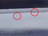 UMA映像「ネッシーの親子」が撮影される! 繁殖している可能性が浮上