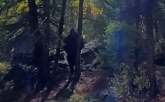 ロッキー山脈でUMAビッグフットの撮影に成功か 列車を見つめる巨大な人影の画像1