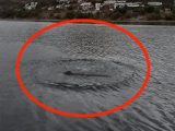 ダム湖に伝説の「恐竜UMA」が出現! 証拠写真に市役所も驚愕、警察がパトロールを開始=メキシコ