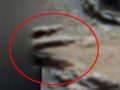 宇宙人の手が写り込む!? NASA火星探査機が撮影「2mのエイリアンだ」専門家
