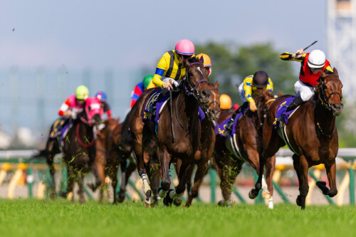 JRA大阪杯―オルフェーヴル、キズナ、キタサンブラックら名馬が勝利したレースに異変！ 今年の2冠牝馬スターズオンアースに危険信号か!?の画像1