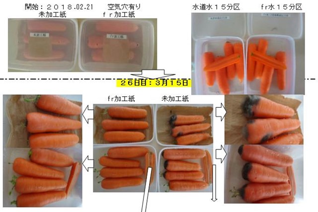 波動ー見えない高次元エネルギーの正体とは? 実証実験の結果を公開の画像7