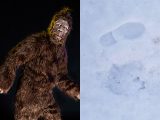 雪の上にビッグフットの巨大な足跡!? 伝説の獣人型UMAが実在する証拠か