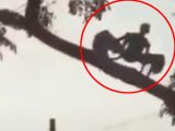 フィリピンでコウモリ型UMAが撮影される!? Twitterで大騒動、怪物の正体に迫る!