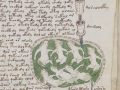 世界最大の奇書「ヴォイニッチ手稿」のルーツを辿った結果…