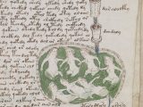 世界最大の奇書「ヴォイニッチ手稿」のルーツを辿った結果…