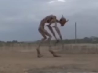 ナイジェリアに宇宙人が襲来？ SNSで動画が拡散、警察が対応する事態に！