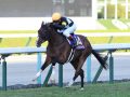 天皇賞（春）の極め穴馬を元JRAレジェンドが激推し！ 「自分が乗るならこの馬でタイトルホルダーを負かす」