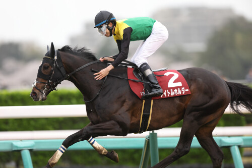 JRA6週連続G1レースの見どころチェック！天皇賞（春）はタイトルホルダーの連覇に赤信号？ 白毛ソダシVS二冠馬スターズオンアースも激熱！の画像1