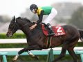 JRA6週連続G1レースの見どころチェック！天皇賞（春）はタイトルホルダーの連覇に赤信号？ 白毛ソダシVS二冠馬スターズオンアースも激熱！
