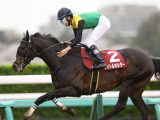 JRA6週連続G1レースの見どころチェック!天皇賞(春)はタイトルホルダーの連覇に赤信号? 白毛ソダシVS二冠馬スターズオンアースも激熱!