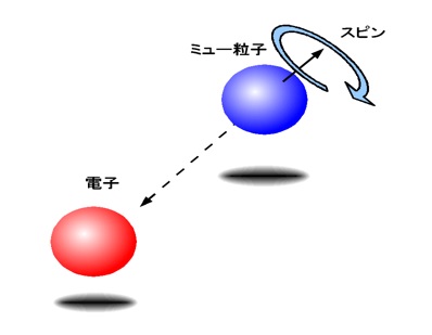生命の起源は「左回り」だった! 負の右回りエネルギーを無効化する縄文由来の水を天才科学者が開発! 努力ゼロで心身が整い生活の質が向上の画像3