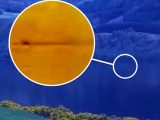 「最も説得力のあるネッシー画像」が公開される! 規格外のサイズとスピードの生物