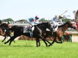 JRA日本ダービーは“長澤まさみ馬券”で一攫千金? かつては笑福亭鶴瓶でも大的中!