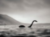 ネス湖を訪れた観光客「水面下を動く巨大な影」に遭遇! 体長19mの巨大生物の正体は?