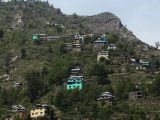 たった1つの遺伝子変異で“世界一静か”になった村=インド